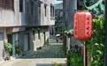 中山三乡专题研究“古道循行”项目 打造岐澳古道镇村片区组团全省样板