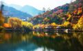 礼敬师恩!山东这些景区对全国教师免门票