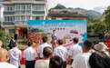 “小青枣”四倍收购价背后的“土特产富”密码 义乌经验跨山赋能千岛湖南枣再闯南洋