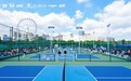 2026年浙江省匹克球巡回赛北仑站圆满落幕