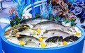 兴海之要,聚链成势 广东省现代化海洋牧场产销对接活动在广州举办
