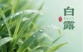 白露润丝路 秋韵醉两关