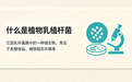 益生菌里面的植物乳植杆菌是什么 ?