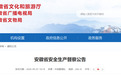 安徽省委、省政府派出安全生产督察组!