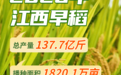 2026年江西早稻产量137.7亿斤 播种面积较上年增长0.4%