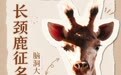 河南漯河一家野生动物园用20头猪为长颈鹿征名,火遍网络!