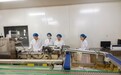 调研赋能产教融合 古丸新践助力中医药守正创新