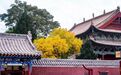 武威双节一日游线路推荐:品五凉文脉 赏河西月圆