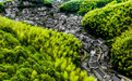 黄山市徽州区:灵山古村开新枝 文旅提质添新景