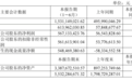 净利暴增903%!苏州这家“A股股王”交出上市后首份半年报
