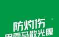 秋茬稳产防灼伤,雷马农膜“柔性设计+功能定制”赋能绿色农业提质增效