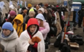 魏德尔:在德国的乌克兰公民应该返回自己的家园