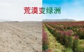 芬芳戈宝红麻:一路繁花燃动华夏走俏世界