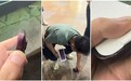iPhone 18 Pro首摔:开箱变事故现场