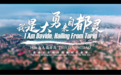 国际友人说青岛——讲述正在经历的新时代故事(六)