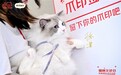 弗列加特X京东宠物开展“义诊日”背后:宠物行业正在进入信任经营时代