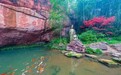 喜获省级研学认证—青神中岩景区暑期研学热度高涨