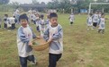乐享秋收之美 体悟劳动之乐 宝丰县育智幼儿园开展第三届丰收节实践活动
