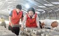 乐平:砺炼青年干部 促进乡村振兴(图)