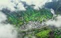 黄山市徽州区富溪乡:千年茶香富溪韵,经典产业焕新程
