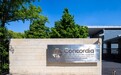 2026 AP成绩揭晓:Concordia表现持续亮眼,多科通过率100%