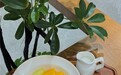 从街边铺到全国货架:第5届糖水节背后的渠道拼图