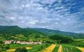 山水康养+红色研学 甘肃华亭农旅融合醉游人