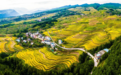 凤眼观渝 | 一个三峡库区农业县的振兴接力——重庆丰都三农蹲点观察