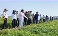 赛场淬“精兵” 砺能壮“家底” 青岛市第五届农村经管职业技能竞赛决赛举行