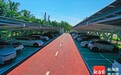 每四台新车三台为新能源 8月海南新能源汽车渗透率达75.05%