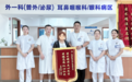 医术精湛 尽心尽责 医德高尚 仁心仁术