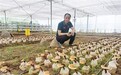 山东省杰出工程师田克赞:三十载深耕 让泰山灵芝焕发新生
