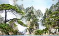 95后安徽小伙在长沙造"水下山河" 小众水族造景赛道闯出新天地