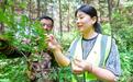 护林“智”感拉满两小时处置隐患 山林变身富民聚宝盆