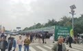 机械入园 科技助农:一颗猕猴桃背后的“装备革命”