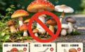 “双节”期间预防食源性疾病 江西疾控发布温馨提示