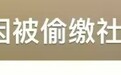 应届女硕士考编时发现“被就业”无法报考,从未上过一天班却有6份社保记录