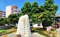 借力历史经典产业政策 云浮探索无核黄皮升级新路径