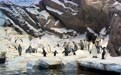 108位中国旅业人士举办1500场洽谈,认识丰富多元的阿布扎比