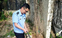 巡查发现“神秘”水井?江北综合执法“专业认定+闭环整改”守护地下水资源