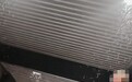 合肥多地有小飞虫聚集!动物专家:系稻飞虱,对人体无害