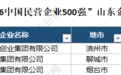 山东千亿民企“四进一出”,51家鲁企上榜中国民企500强!背后的“变与不变”,如何解读?