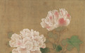 诗画节气|秋分,木芙蓉的拒霜花语