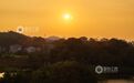 黎川县:白鹭蹁跹伴夕阳(图)
