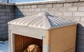 青岛创惠的高颜值硬核宠物房dog cottage,以温柔匠心守护狗狗四季安稳