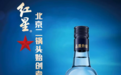 红星二锅头蓝瓶值得买吗?聊聊这款国民口粮酒的第八次升级