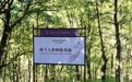 云朵艾杨人参美白系列溯源焕新,长白山道地人参赋能中式美白升级