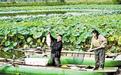 衡水“湖畔时光”欢乐集邀您共享双节文旅盛宴