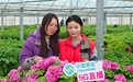 山东新农人何以站上乡村振兴“C位”