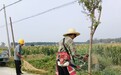 安徽省固镇县杨庙镇:开展环境提升攻坚 持续优化镇村风貌